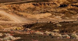 《王者荣耀》×三丽鸥联动来袭 限定皮肤萌动峡谷