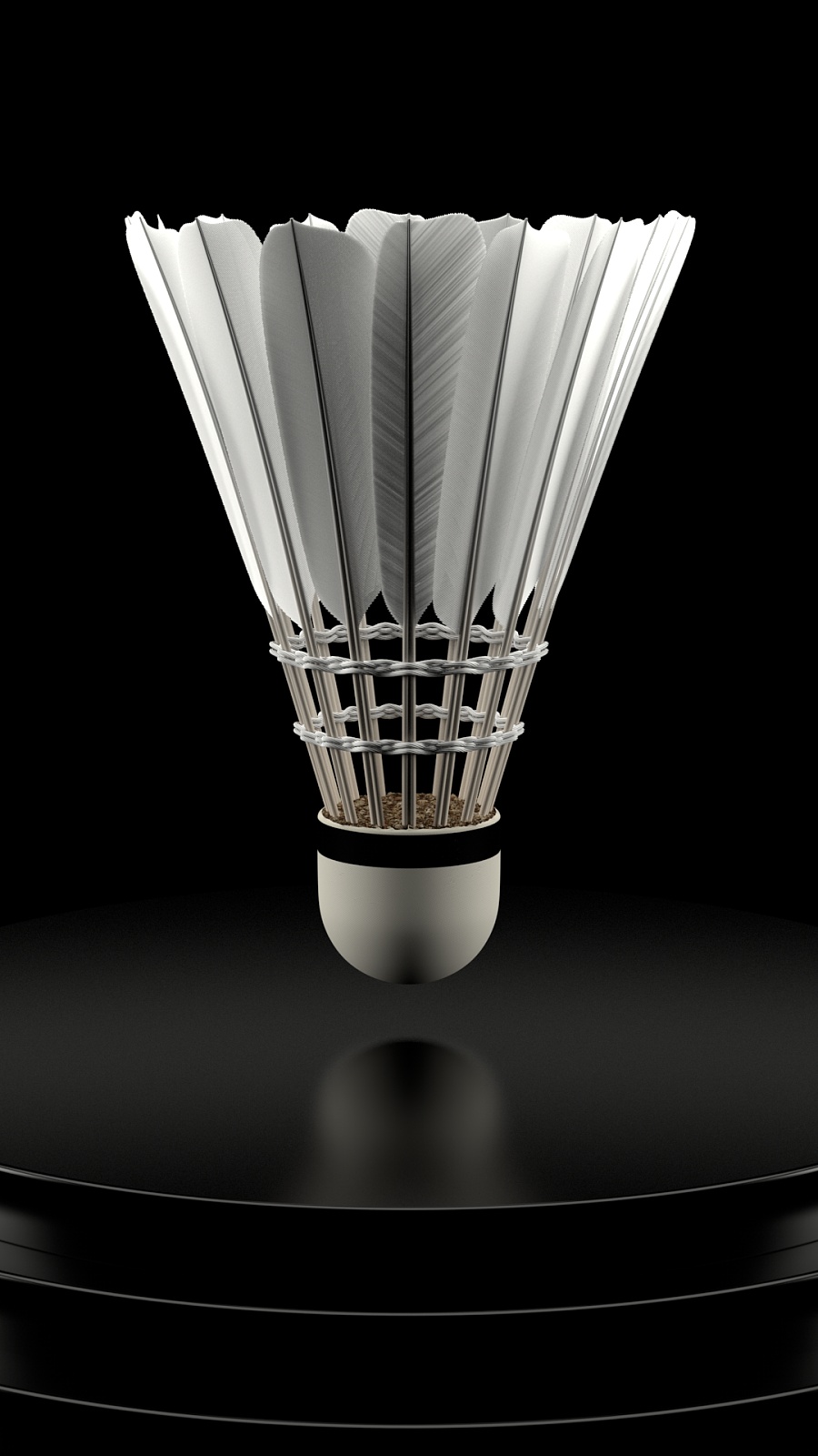 效力于库亚 效力于库亚