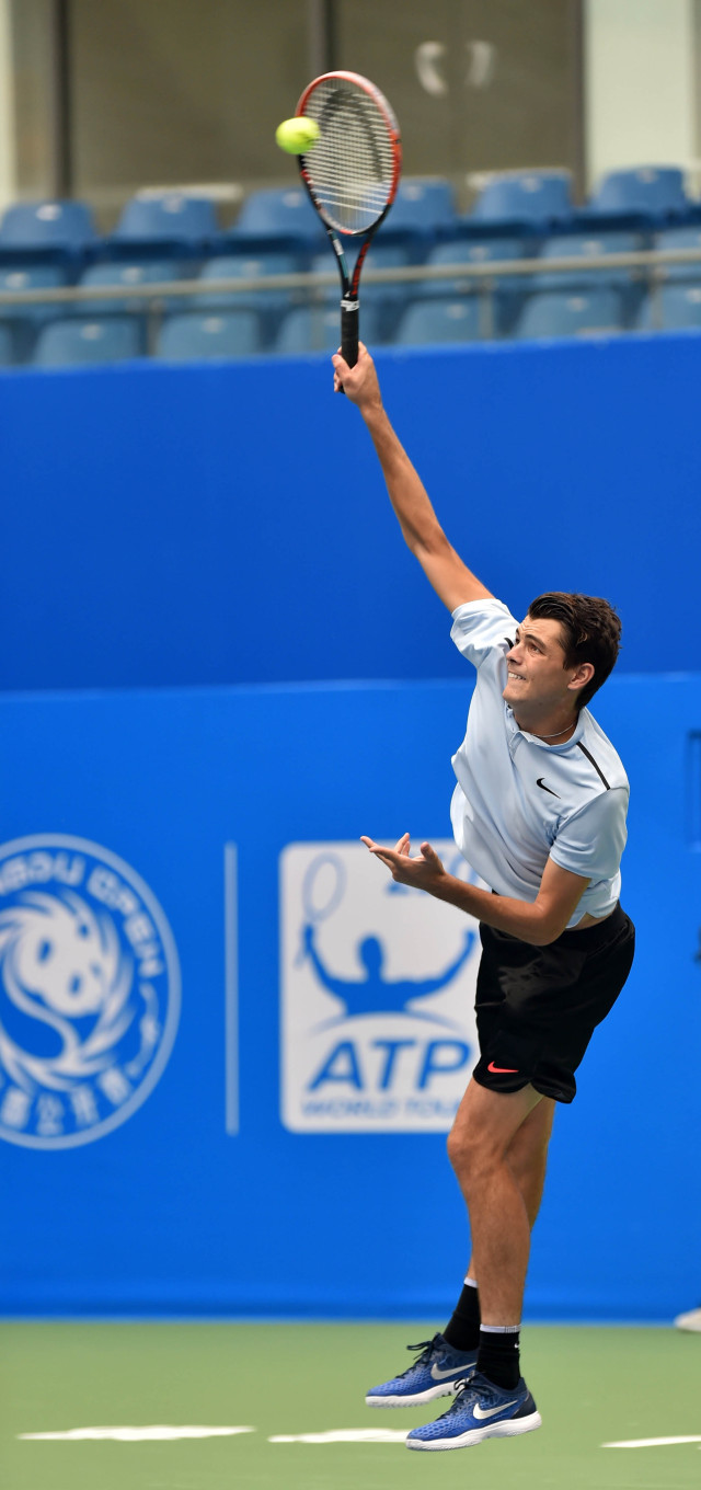 仅依靠技术 仅依靠技术